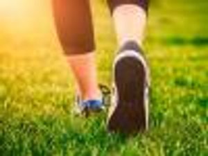 Patients With Multiple Sclerosis Need Greater Activity Level