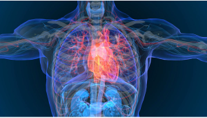 Image credit: appledesign | stock.adobe.com