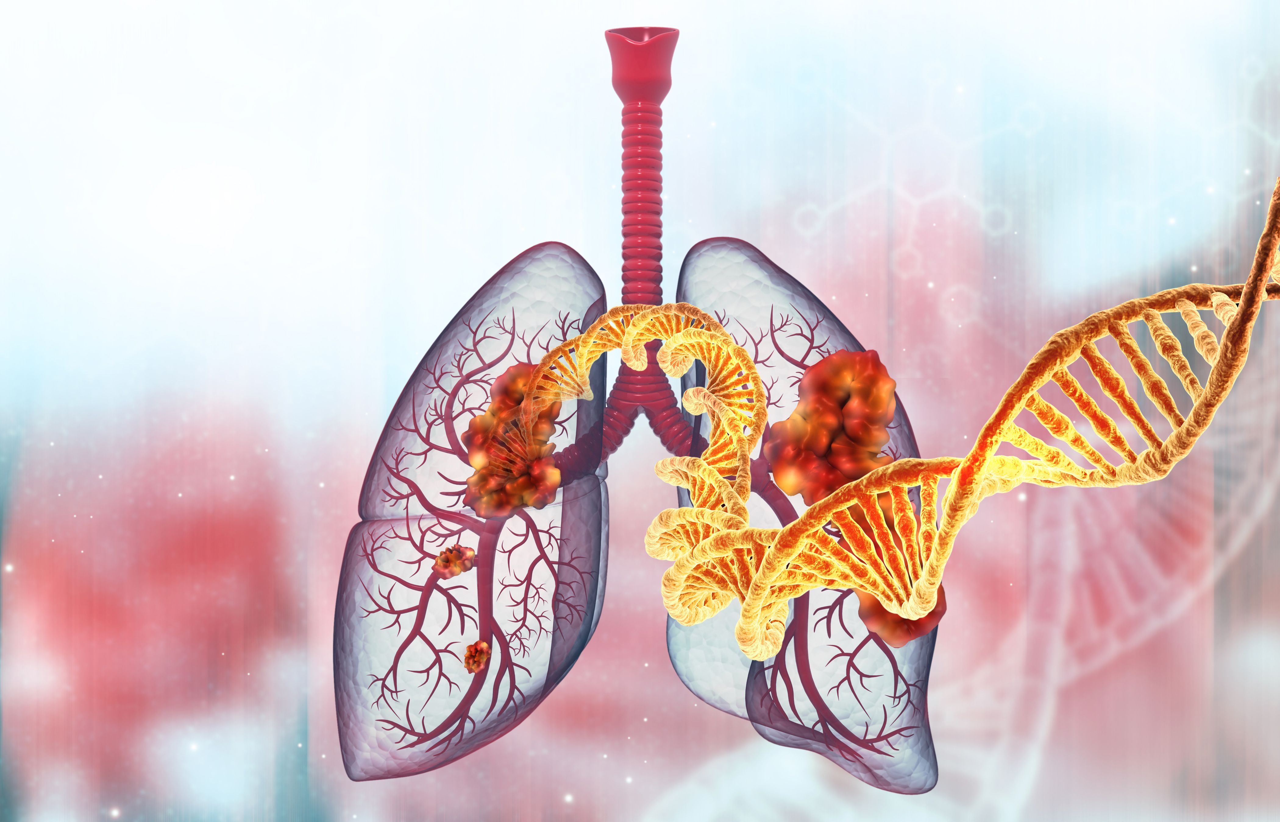 Illustration of human lung with DNA strand | Image Credit: © Rasi - stock.adobe.com