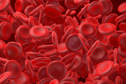 Researchers Explore Approaches to Block T-Cell Exhaustion