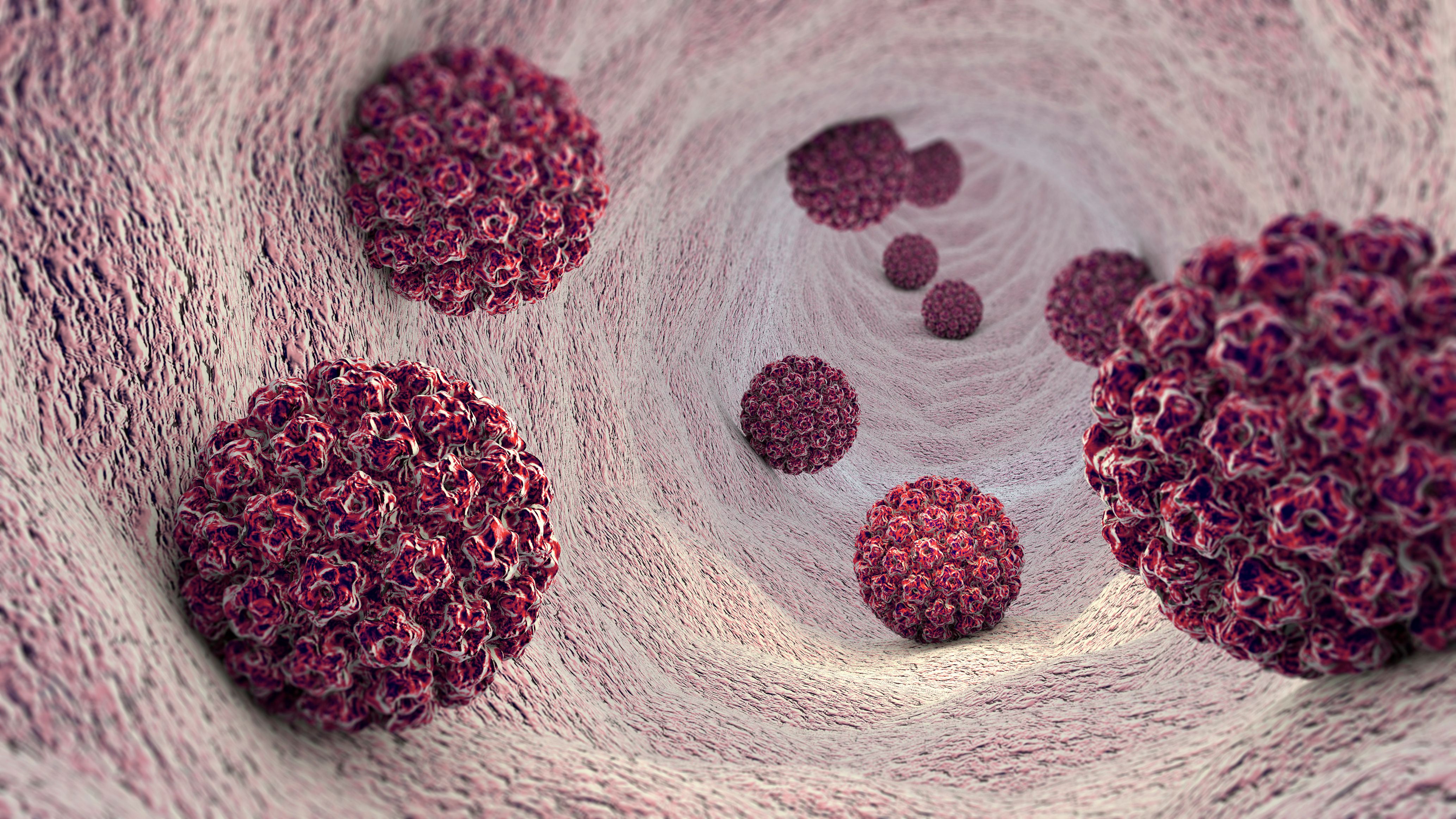 Human papillomavirus infection Virus. | Image Credit: Naeblys - stock.adobe.com
