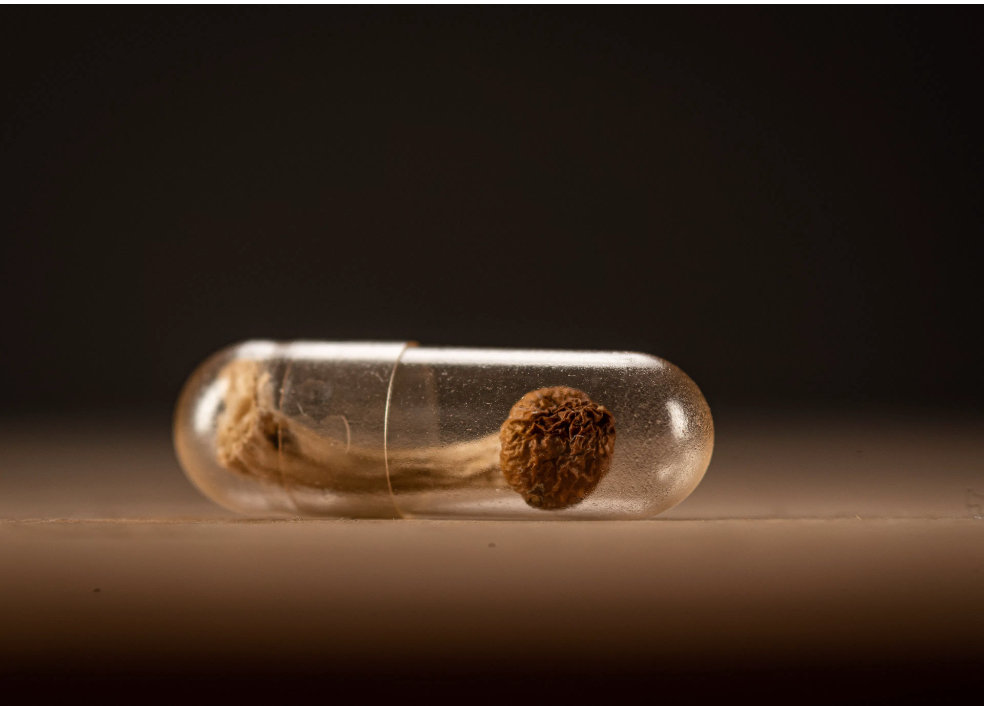 “People Are Screaming Out for Alternatives” In Mental Health Care, And Psychedelics May Fill The Gap, Expert Suggests “People Are Screaming Out for Alternatives” In Mental Health Care, And Psychedelics May Fill The Gap, Expert Suggests