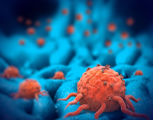 FDA Accepts Biologics License Application for [Vic-]Trastuzumab Duocarmazine, an Antibody Drug Conjugate for HER2-Positive Metastatic Breast Cancer