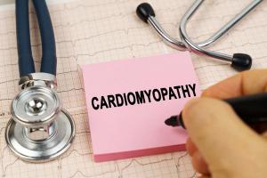 Cardiomyopathy (ATTR-CM) -- Image credit: Dzmitry | stock.adobe.com