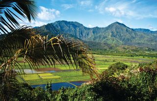 Pharmacy Students Discuss Studying in Hawaii