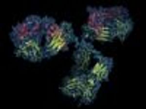 Breakthrough Designation Granted to Daratumumab for Double Refractory Multiple Myeloma