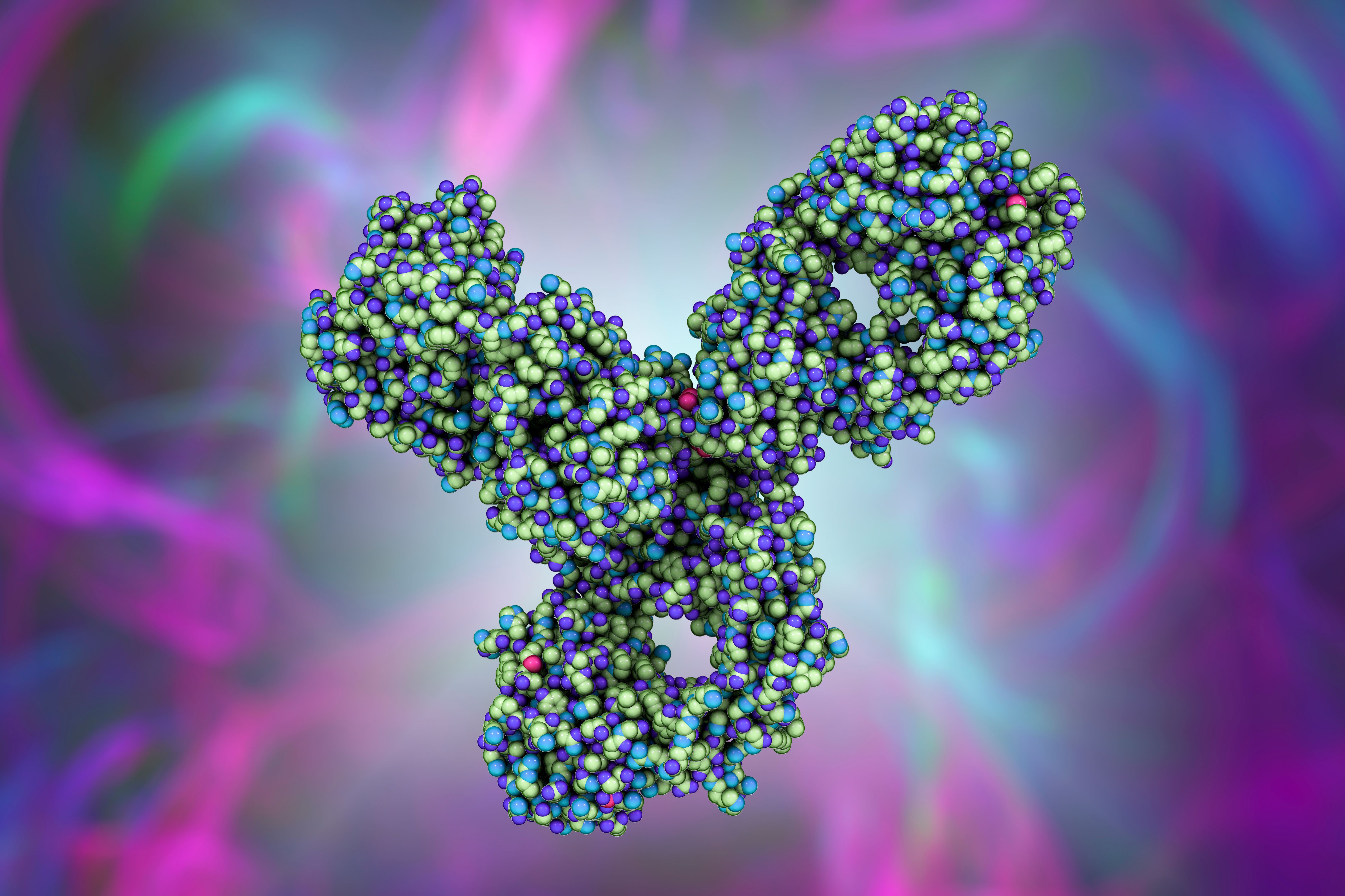 Molecular model of pembrolizumab | Image Credit: © Dr_Microbe - stock.adobe.com