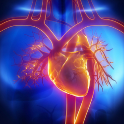 Acetazolamide Found to Improve Decongestion in Patients With Acute Decompensated Heart Failure