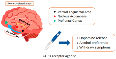 glp 1 and dopamine Five Unexpected New Uses for GLP-1 Receptor Agonists