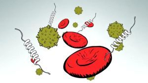 Harvoni Delivers High Hepatitis C Cure Rates