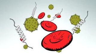 Hepatitis C: Know Your Status