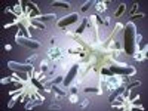 Lung, Prostate Cancers Projected to be Most Common Among HIV Patients