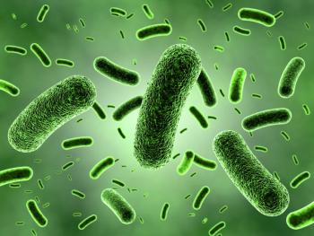 Bacteria -- Image credit: zuki70 | stock.adobe.com