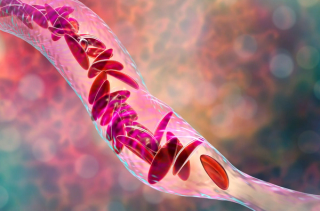 Image credit: Dr_Microbe | stock.adobe.com