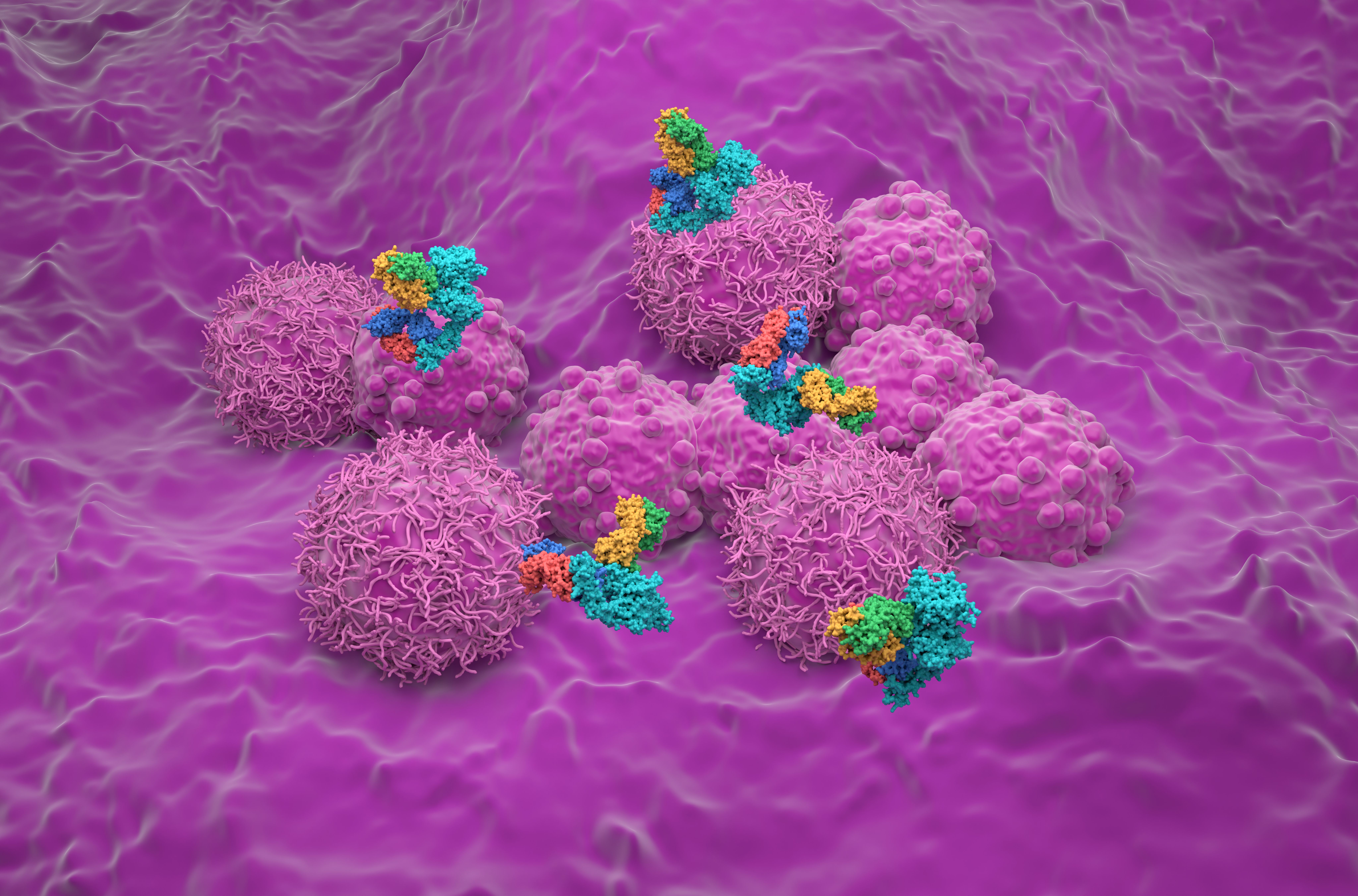 Trastuzumab, pertuzumab binding to breast cancer cells | Image Credit: © LASZLO - stock.adobe.com