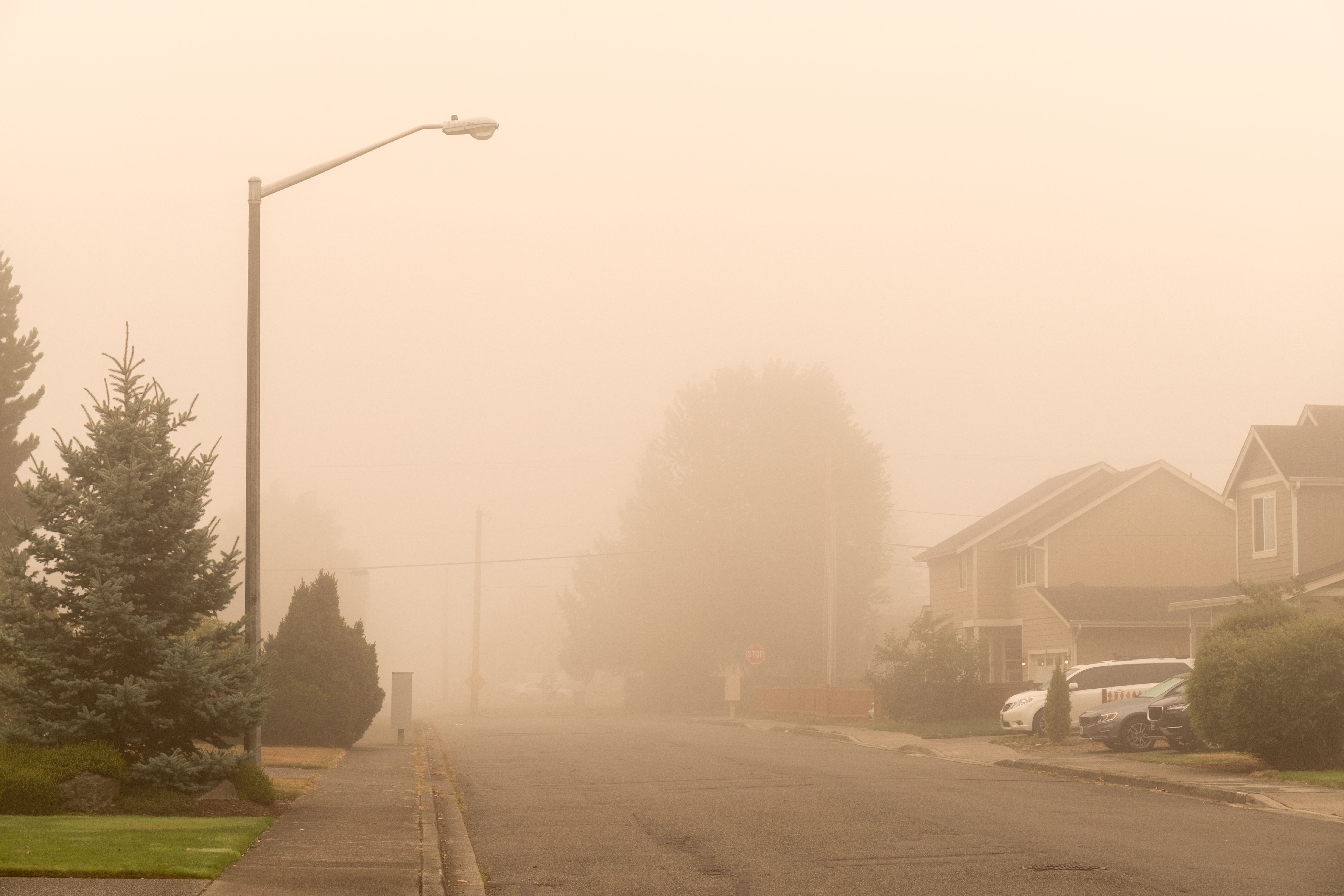 California Wildfire, Debris and Smoke, Health Risks, Pharmacists | Image Credit: Jennifer J. Taylor | stock.adobe.com