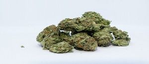 Health Agencies Warn Against Synthetic Cannabinoids