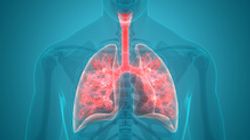 Dostarlimab Plus Chemotherapy Shows Promise in Non-Small Cell Lung Cancer 