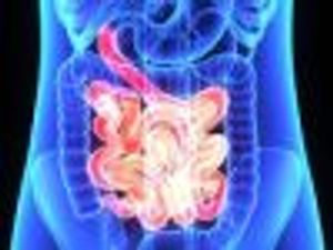 Are IBD and Other Comorbidities More Prevalent in Patients with Autism?