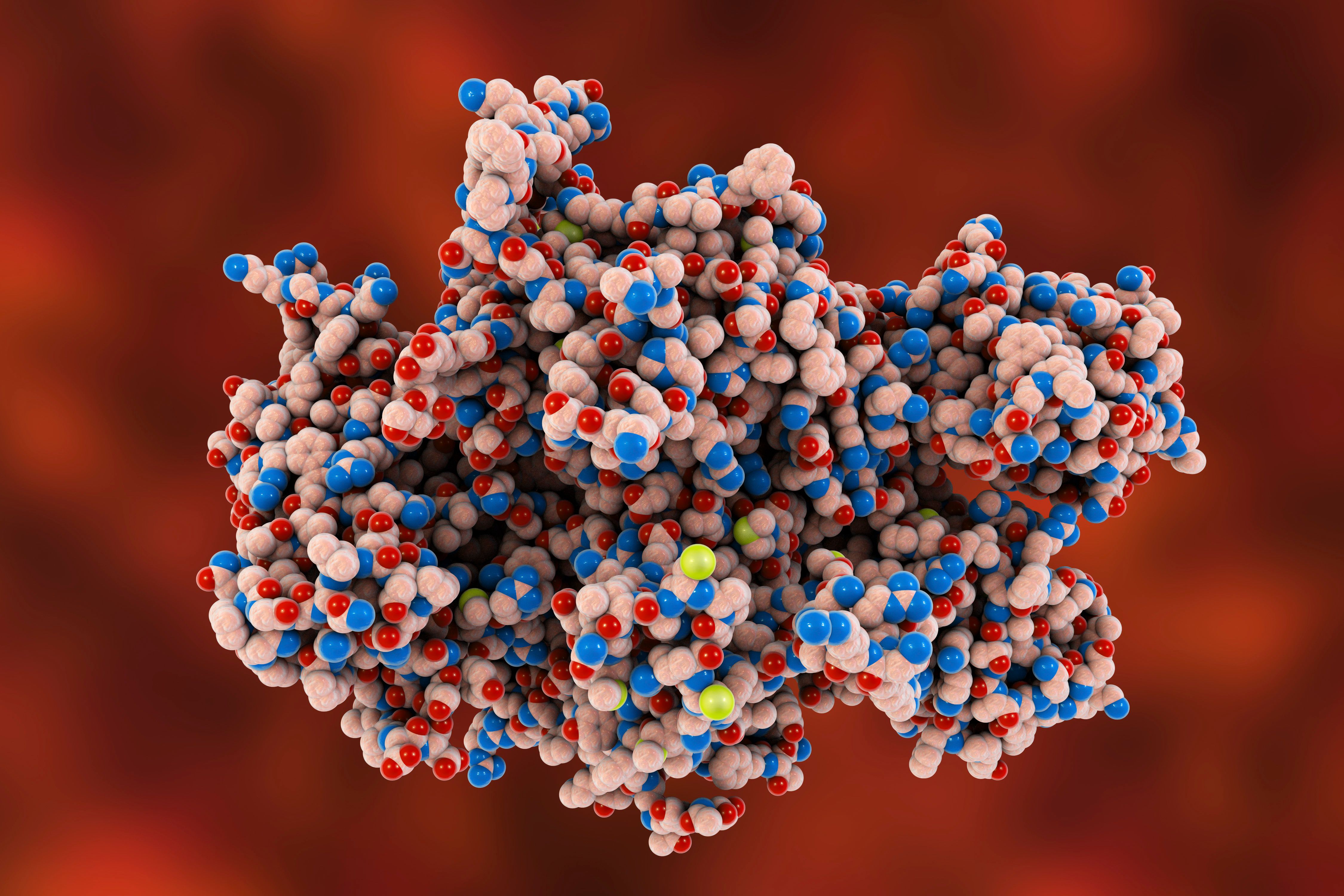 Coagulation Factor VIII, FVIII, an essential blood-clotting protein, also known as anti-hemophilic factor, AHF, 3D illustration