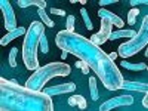 HIV: WHO Calls for Immediate Antiretroviral Therapy and Expanded Pre-Exposure Prophylaxis