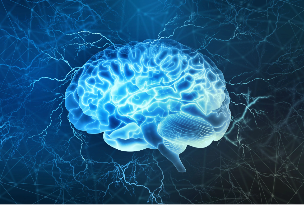 Gene Associated With Autism Spectrum Disorder May Disrupt Early Brain Development - Vimarsana News