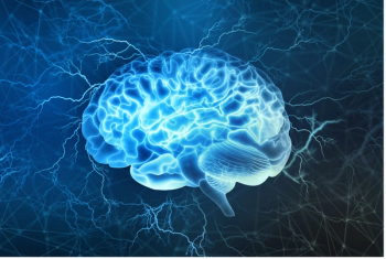 Siarhei - stock.adobe.com