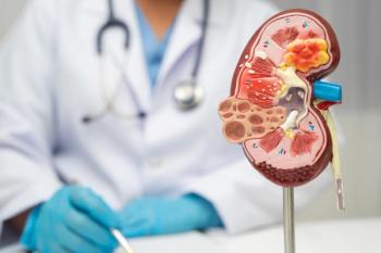 Model of a kidney depicting CKD -- Image credit: kanruthai | stock.adobe.com