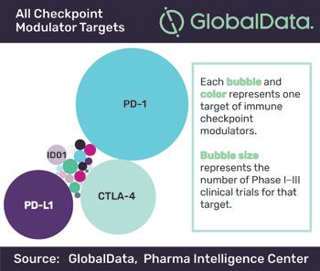 Checkpoint_Modulators_Targets.jpg