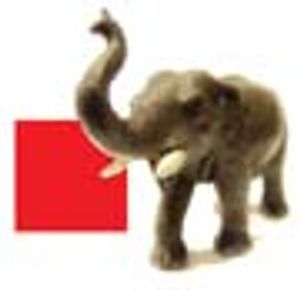 Elephant or Specialist?