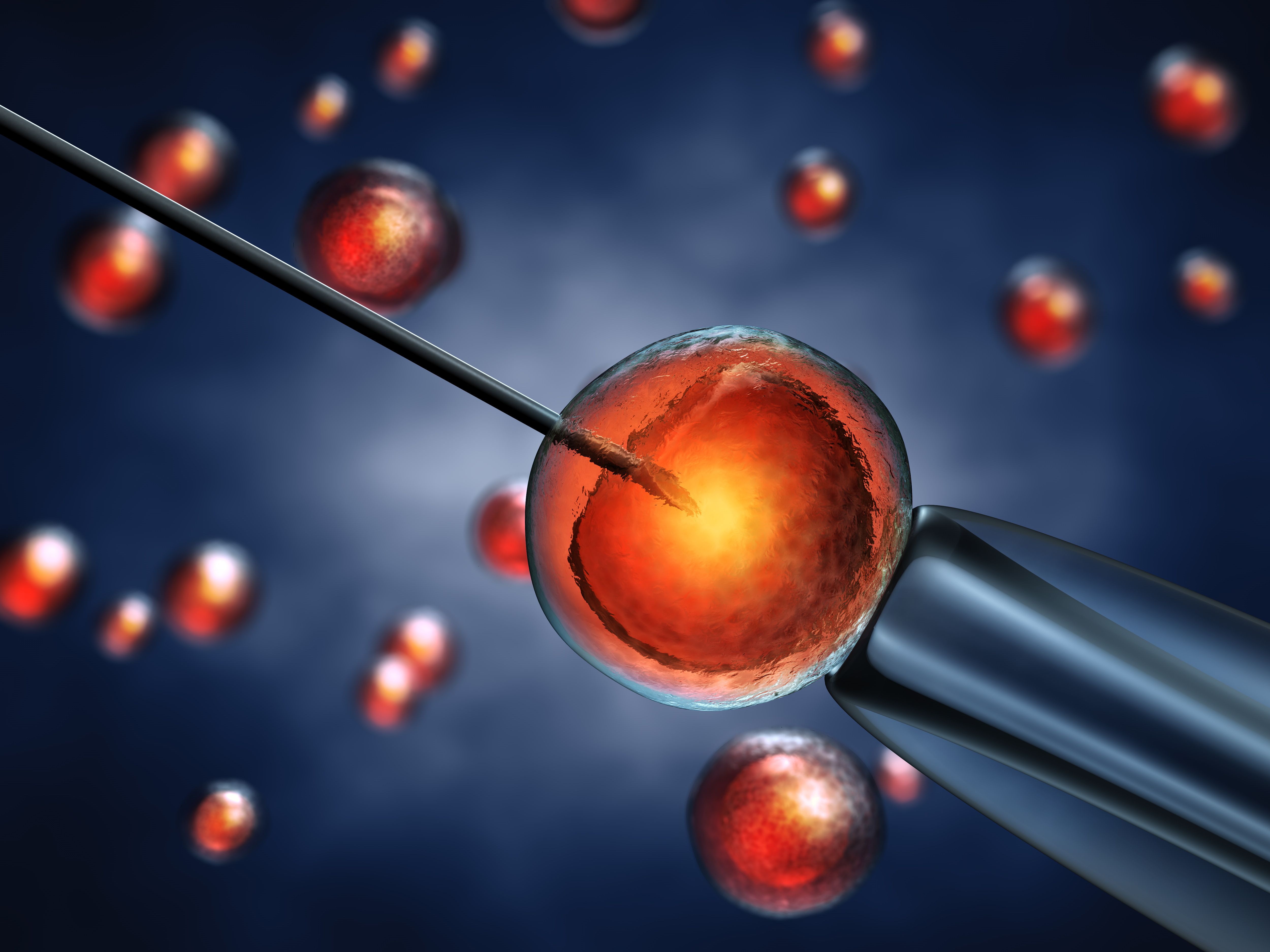 Image credit: nobeastsofierce | stock.adobe.com