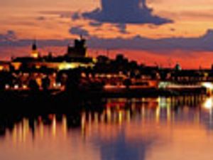 Polish Bid for Biotech Glory