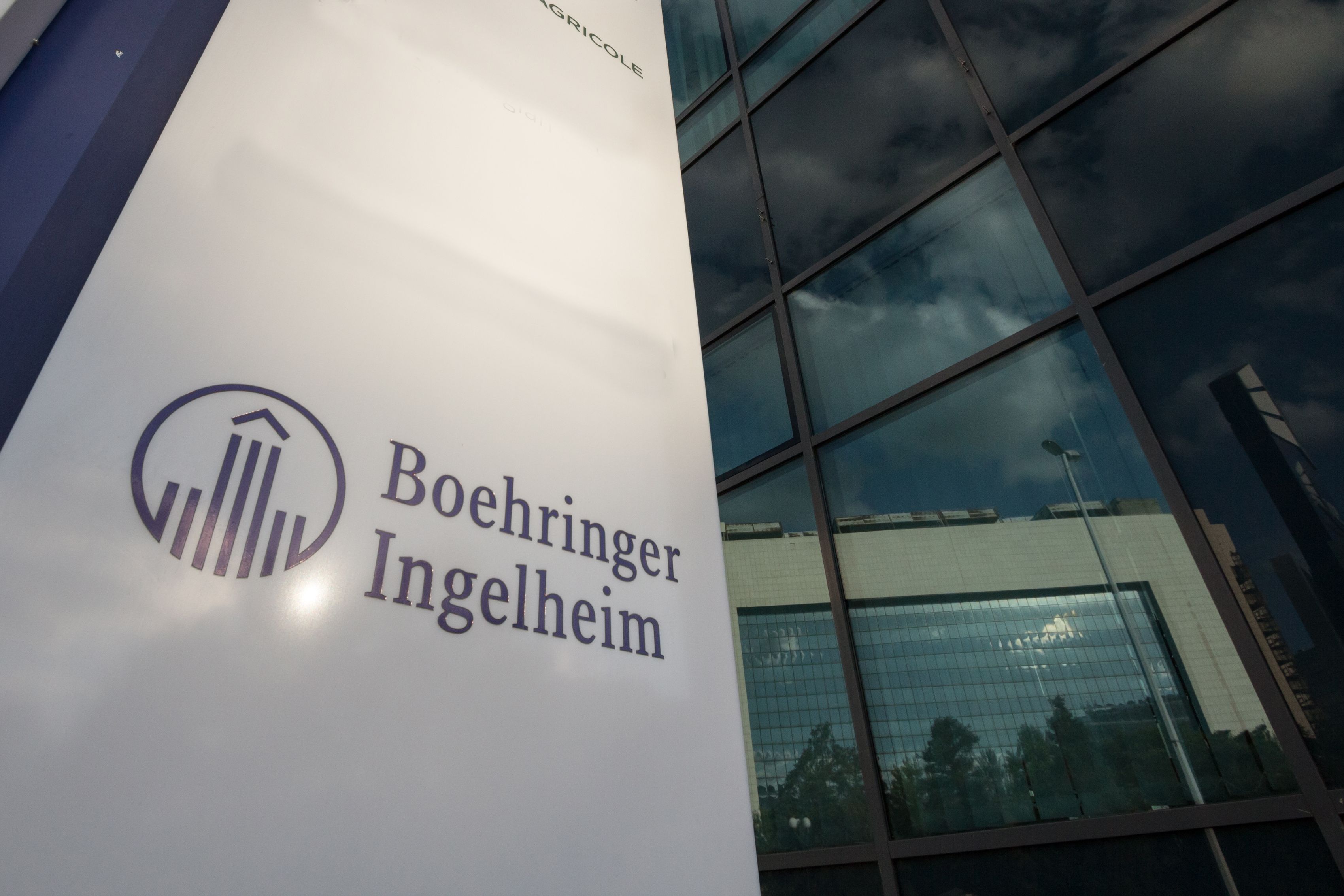 Boehringer Ingelheim’s growing pipeline in autoimmune and inflammatory diseases and builds on a series of recent partnerships in this therapeutic area. Credit: Stock.Adobe.com/Jerome