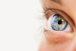 Novartis Begins Selling Some Ophthalmology Assets