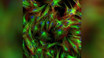 FibroBiologics