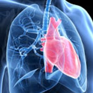 Why Is It Such a Challenge to Treat PAH?