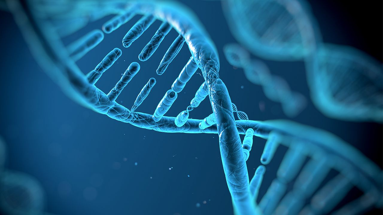 stock.adobe.com DNA strand