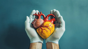 Stock.Adobe.com Heart disease