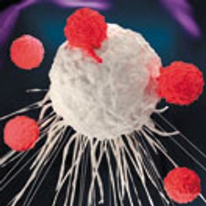 Access and Reimbursement for Adoptive T-Cell Transfer Drugs