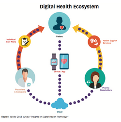 Building a Digital Health Infrastructure