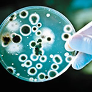 Pharm Exec's 2019 Pipeline Report