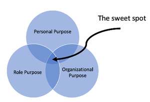 What the Leaders of the Most Effective Teams Know