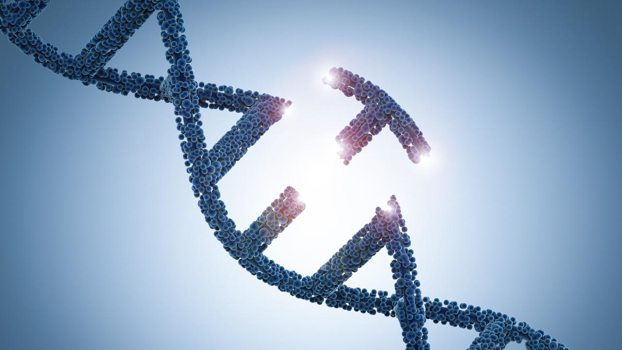 Cellectis Transforming Into In Vivo Gene Editing Company