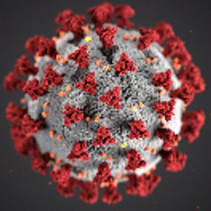 Rapid Transformation in the Face of COVID-19