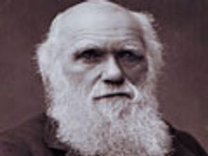 In a Dynamic Healthcare Market, Only the Adaptive Survive