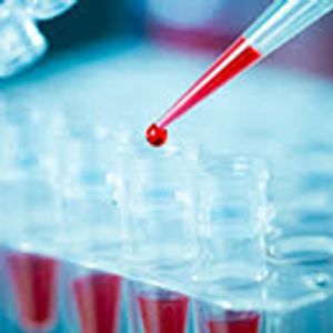 Navigating the Increasing Complexity of Drug-Biomarker Co-Development