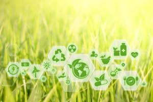 Taking Steps Toward a Sustainable Future