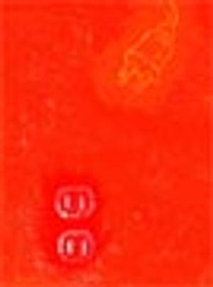 Knowing When to Pull the Plug On Your Experimental Drug