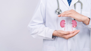 stock.adobe.com kidney disease