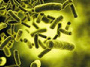 The Human Microbiome—Our Body's Secret Weapon